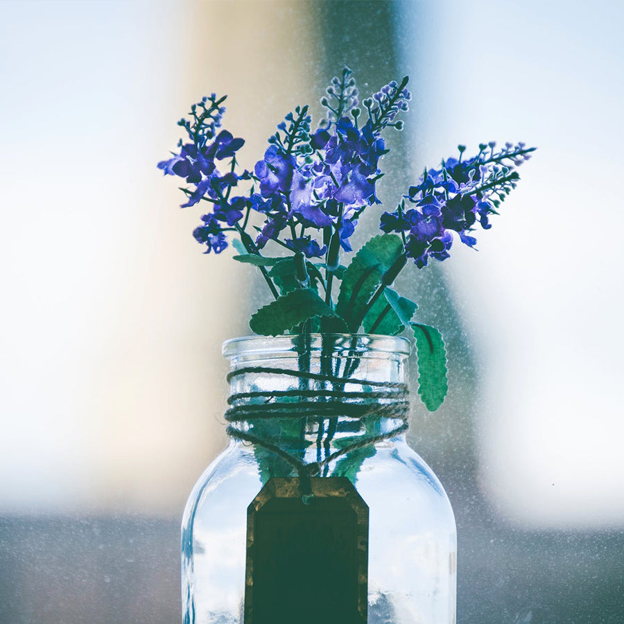 Aromaterapie: Cesta k duševní pohodě